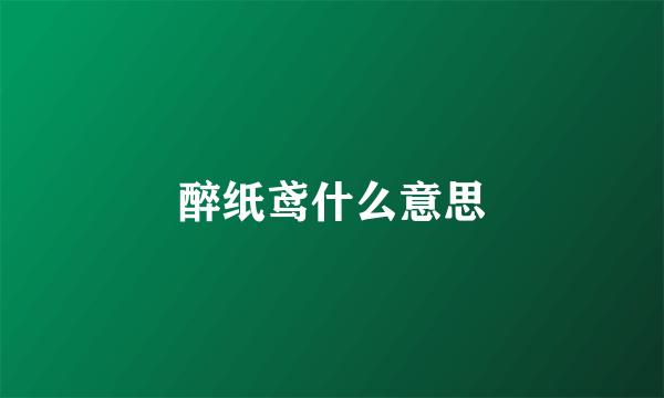 醉纸鸢什么意思