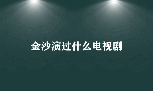 金沙演过什么电视剧