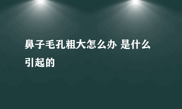 鼻子毛孔粗大怎么办 是什么引起的