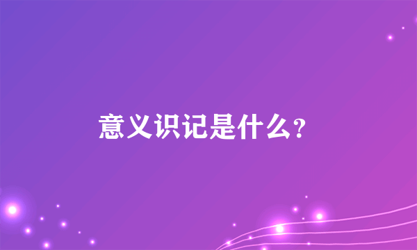 意义识记是什么？