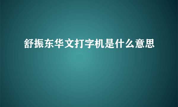 舒振东华文打字机是什么意思