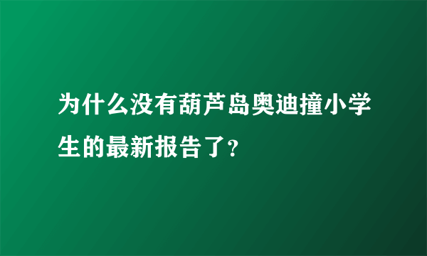 为什么没有葫芦岛奥迪撞小学生的最新报告了？