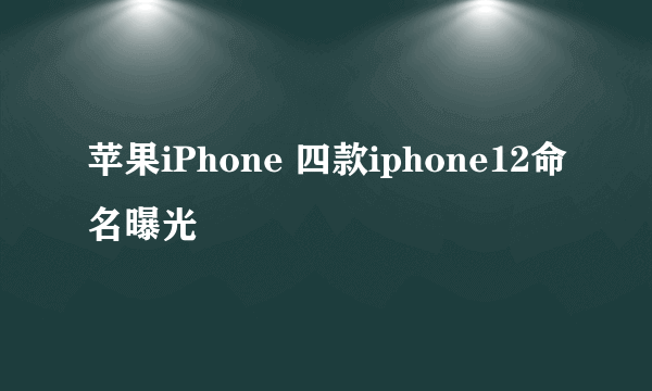 苹果iPhone 四款iphone12命名曝光