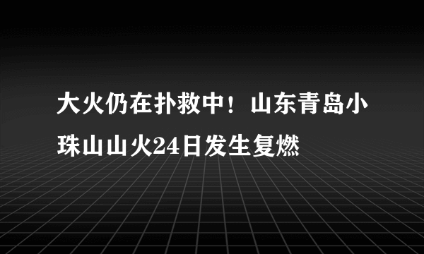 大火仍在扑救中！山东青岛小珠山山火24日发生复燃