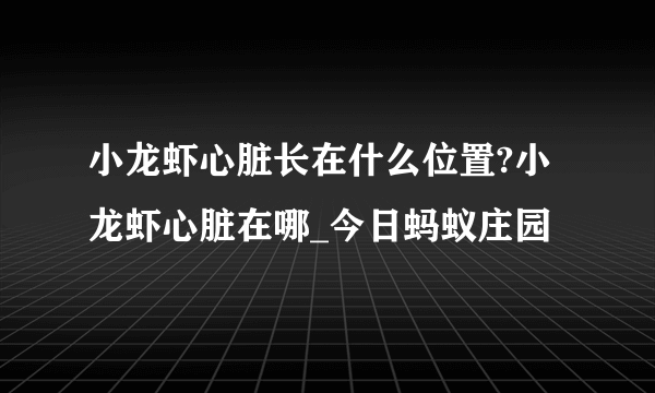 小龙虾心脏长在什么位置?小龙虾心脏在哪_今日蚂蚁庄园