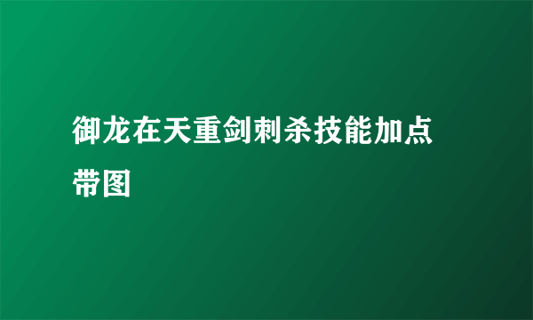 御龙在天重剑刺杀技能加点 带图