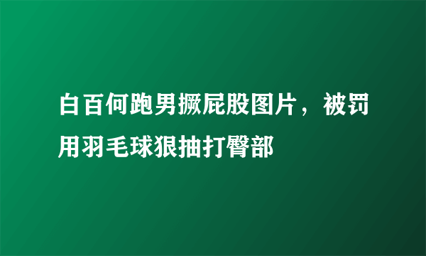 白百何跑男撅屁股图片，被罚用羽毛球狠抽打臀部 