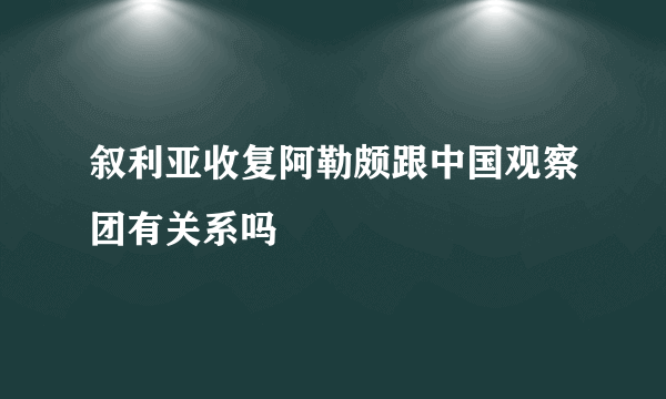 叙利亚收复阿勒颇跟中国观察团有关系吗