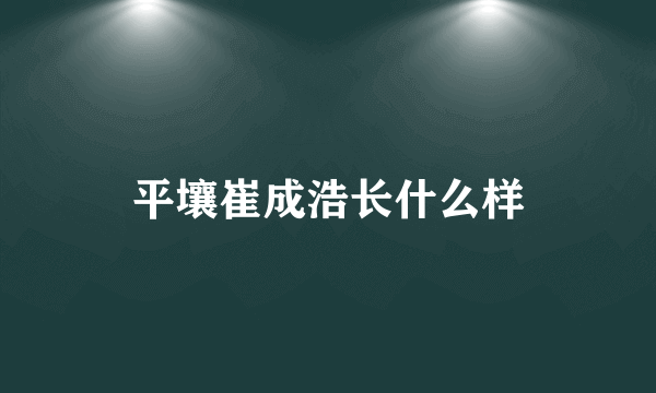 平壤崔成浩长什么样