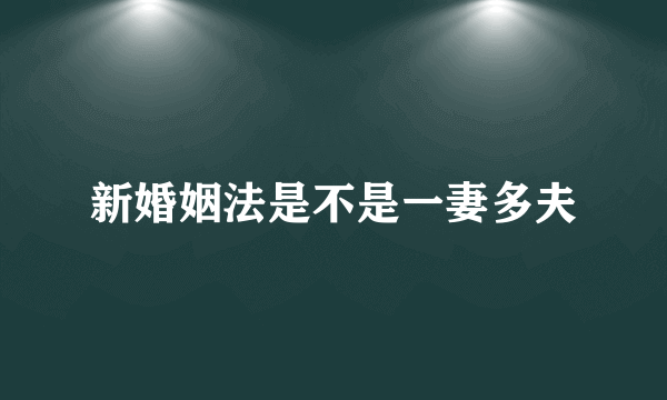 新婚姻法是不是一妻多夫