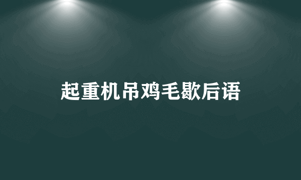 起重机吊鸡毛歇后语