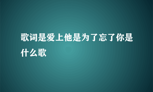 歌词是爱上他是为了忘了你是什么歌