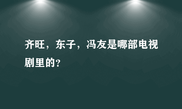 齐旺，东子，冯友是哪部电视剧里的？