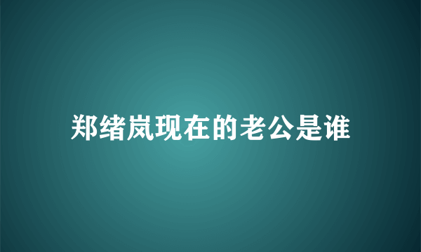 郑绪岚现在的老公是谁