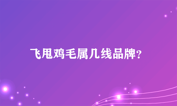 飞甩鸡毛属几线品牌？