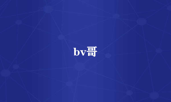 bv哥