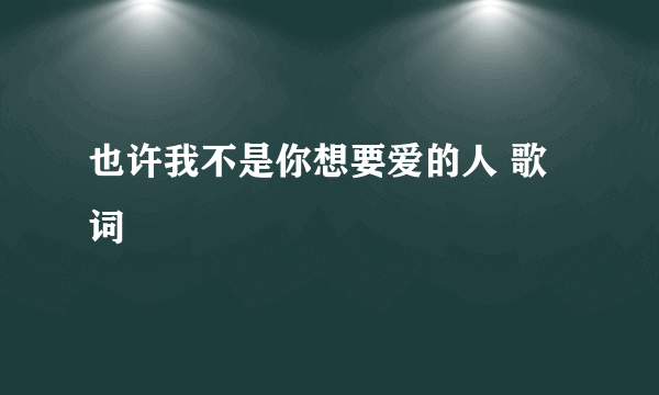 也许我不是你想要爱的人 歌词