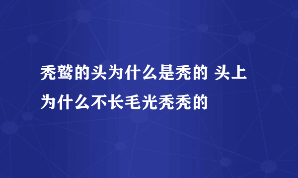 秃鹫的头为什么是秃的 头上为什么不长毛光秃秃的