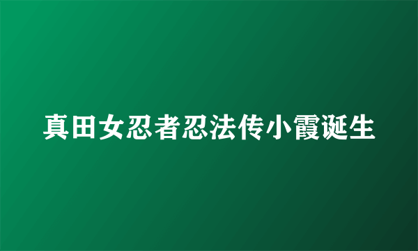 真田女忍者忍法传小霞诞生