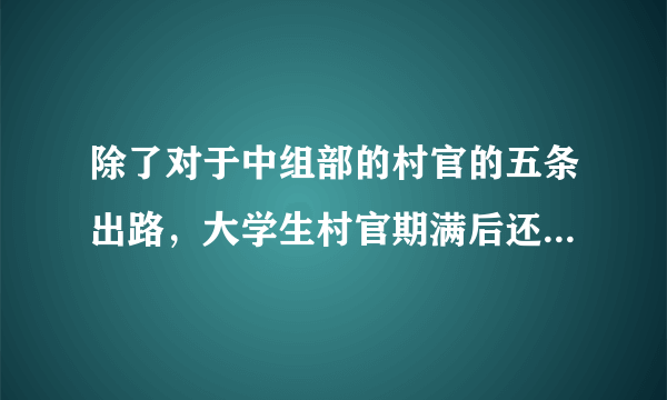 除了对于中组部的村官的五条出路，大学生村官期满后还有什么出路？