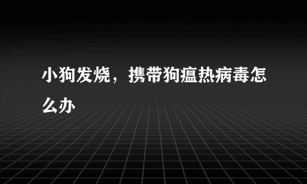 小狗发烧，携带狗瘟热病毒怎么办