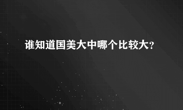 谁知道国美大中哪个比较大？