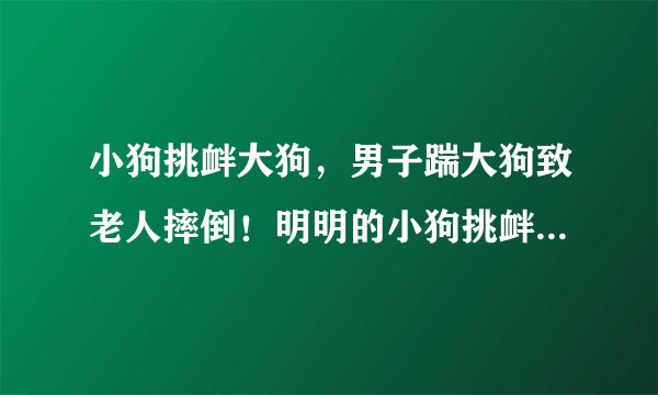 小狗挑衅大狗，男子踹大狗致老人摔倒！明明的小狗挑衅，对方为何如此极端？