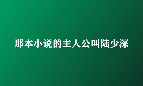 那本小说的主人公叫陆少深