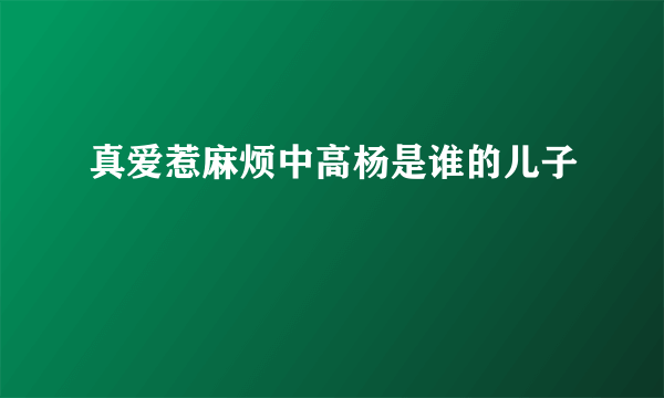 真爱惹麻烦中高杨是谁的儿子