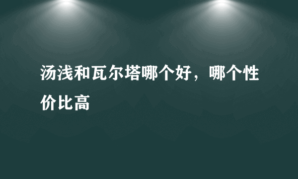 汤浅和瓦尔塔哪个好，哪个性价比高