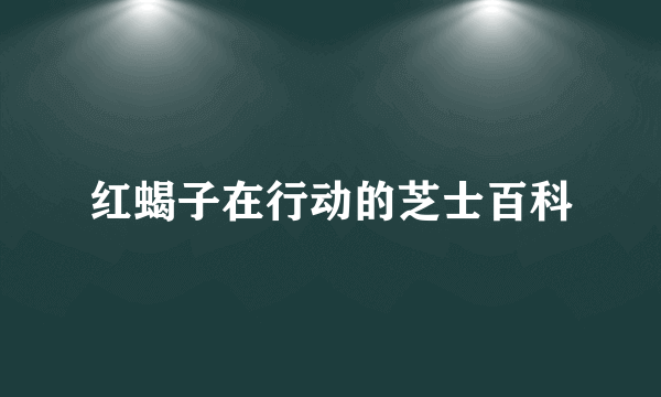 红蝎子在行动的芝士百科