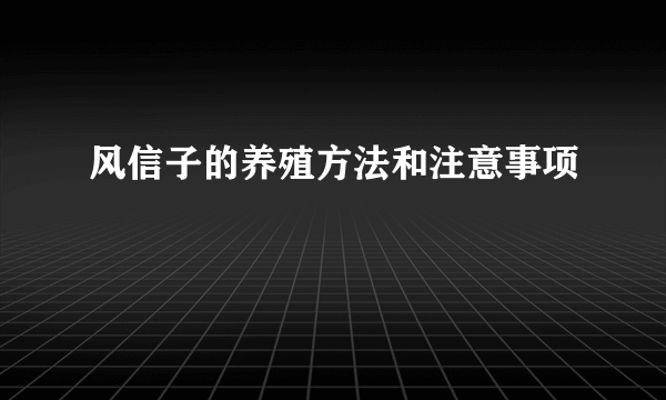 风信子的养殖方法和注意事项