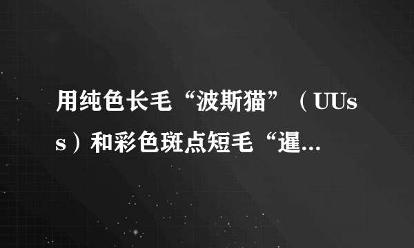 用纯色长毛“波斯猫”（UUss）和彩色斑点短毛“暹罗猫”（uuSS）杂交，可以培育出彩色斑点长毛的“喜马拉雅猫”。 若U、u基因控制纯色和彩色斑点，S、s基因控制短毛和长毛，且两对等位基因分别位于两对同源染色体上。请回答问题：${F}_{1}$的基因型为____，表现型为____。${F}_{2}$中“喜马拉雅猫”的基因型为____，所占的比例为____。${F}_{2}$中还会出现彩色斑点短毛“暹罗猫”，其基因型为____。