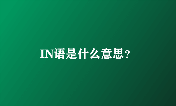 IN语是什么意思？