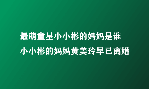 最萌童星小小彬的妈妈是谁 小小彬的妈妈黄美玲早已离婚