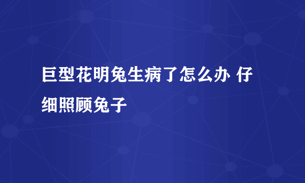 巨型花明兔生病了怎么办 仔细照顾兔子