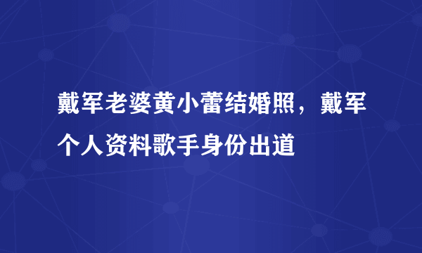 戴军老婆黄小蕾结婚照，戴军个人资料歌手身份出道 