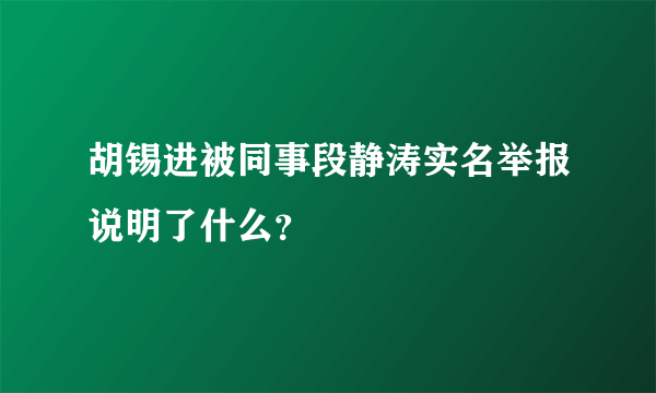 胡锡进被同事段静涛实名举报说明了什么？