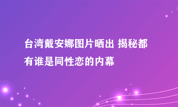 台湾戴安娜图片晒出 揭秘都有谁是同性恋的内幕