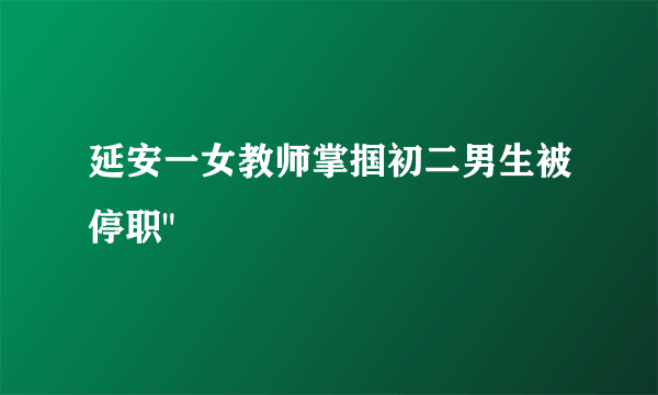 延安一女教师掌掴初二男生被停职