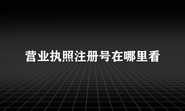 营业执照注册号在哪里看