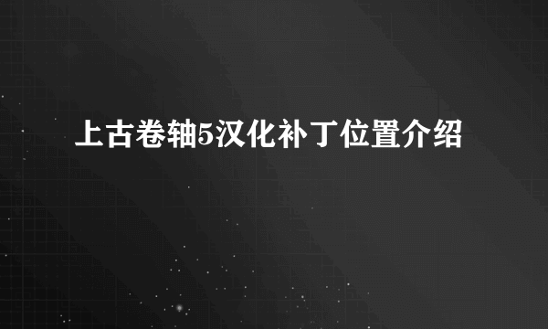 上古卷轴5汉化补丁位置介绍