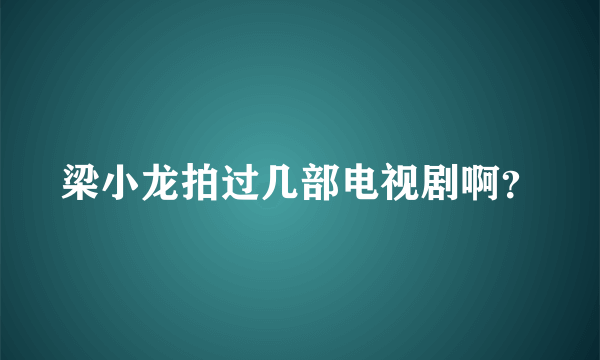 梁小龙拍过几部电视剧啊？