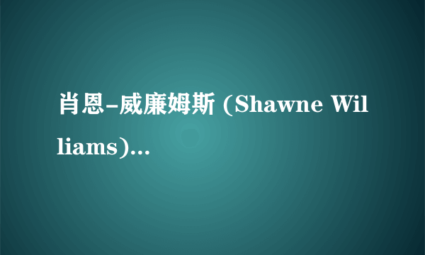 肖恩-威廉姆斯 (Shawne Williams) 09到10赛季在哪个球队打球？