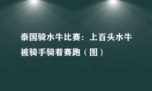 泰国骑水牛比赛：上百头水牛被骑手骑着赛跑（图）