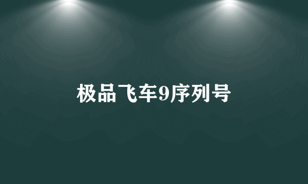 极品飞车9序列号