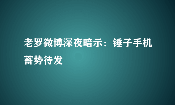 老罗微博深夜暗示：锤子手机蓄势待发