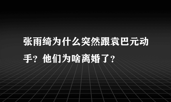 张雨绮为什么突然跟袁巴元动手？他们为啥离婚了？