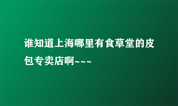 谁知道上海哪里有食草堂的皮包专卖店啊~~~