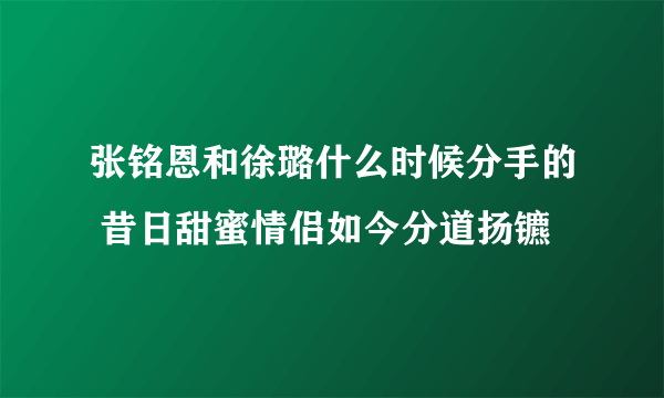 张铭恩和徐璐什么时候分手的 昔日甜蜜情侣如今分道扬镳